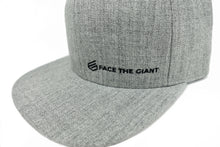 FTG Flat Bill - Light Grey